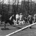 Leistungssportveranstaltung im Pudel-Klub BG Hamburg